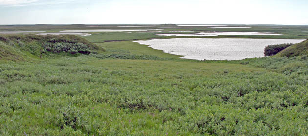 yamal landscape